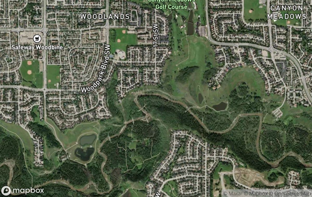 Evergreen aerial view